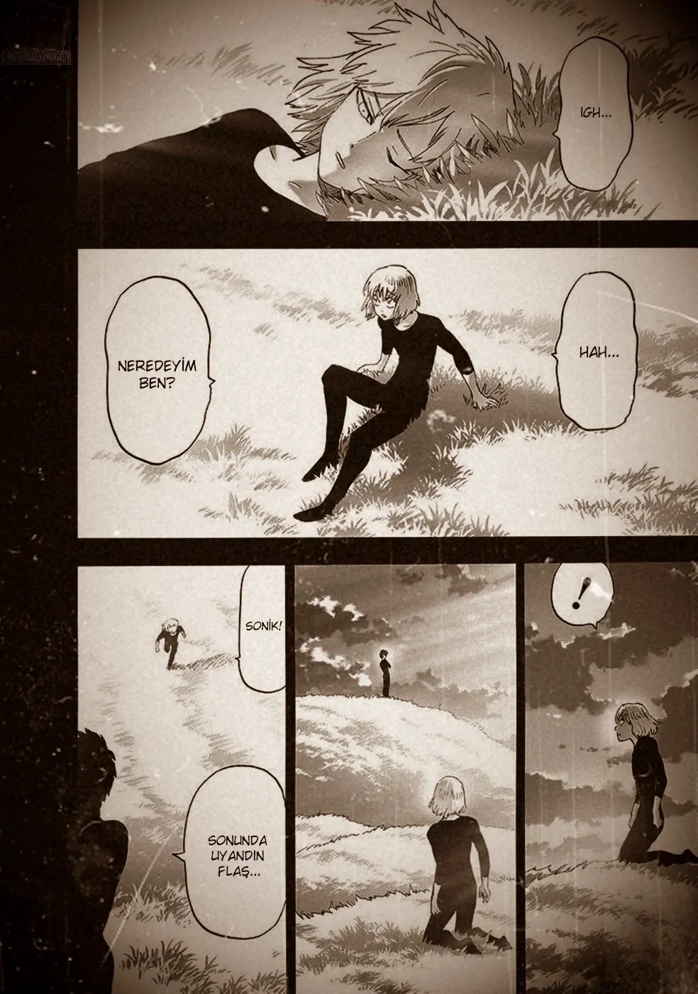 Read One Punch-Man TR Manga Online