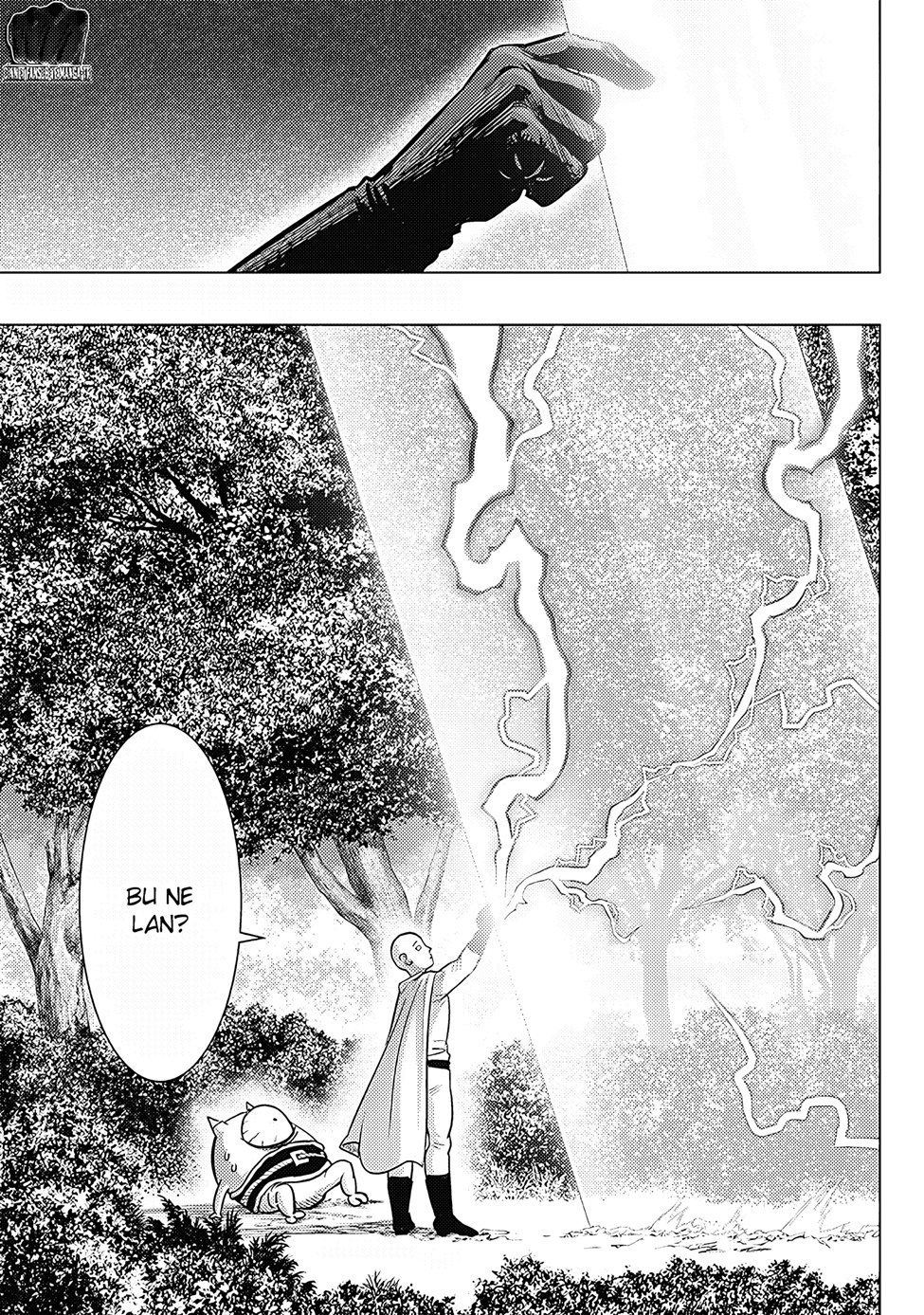 Read One Punch-Man TR Manga Online