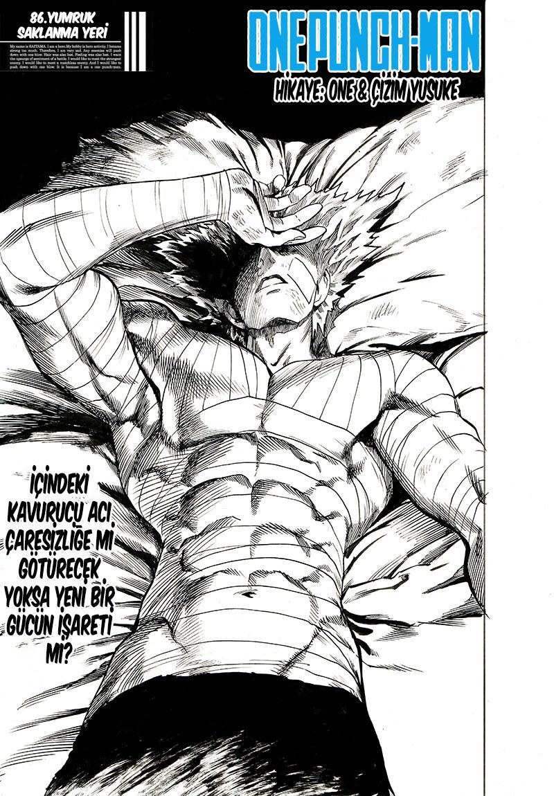 Read One Punch-Man TR Manga Online