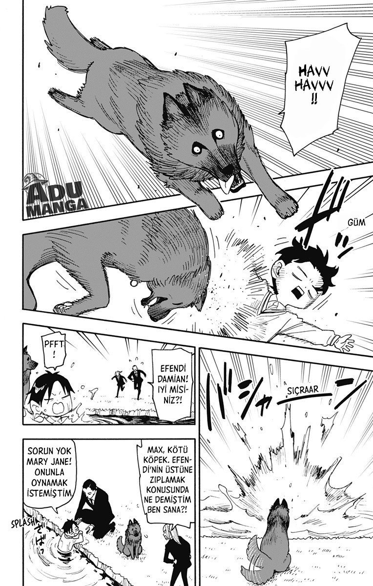 Read SPY X FAMILY TR Manga Online