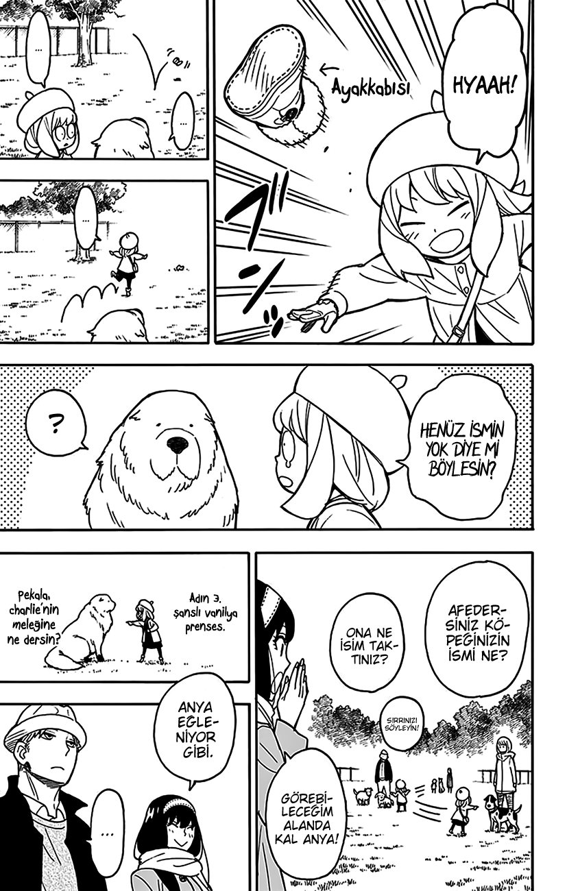 Read SPY X FAMILY TR Manga Online
