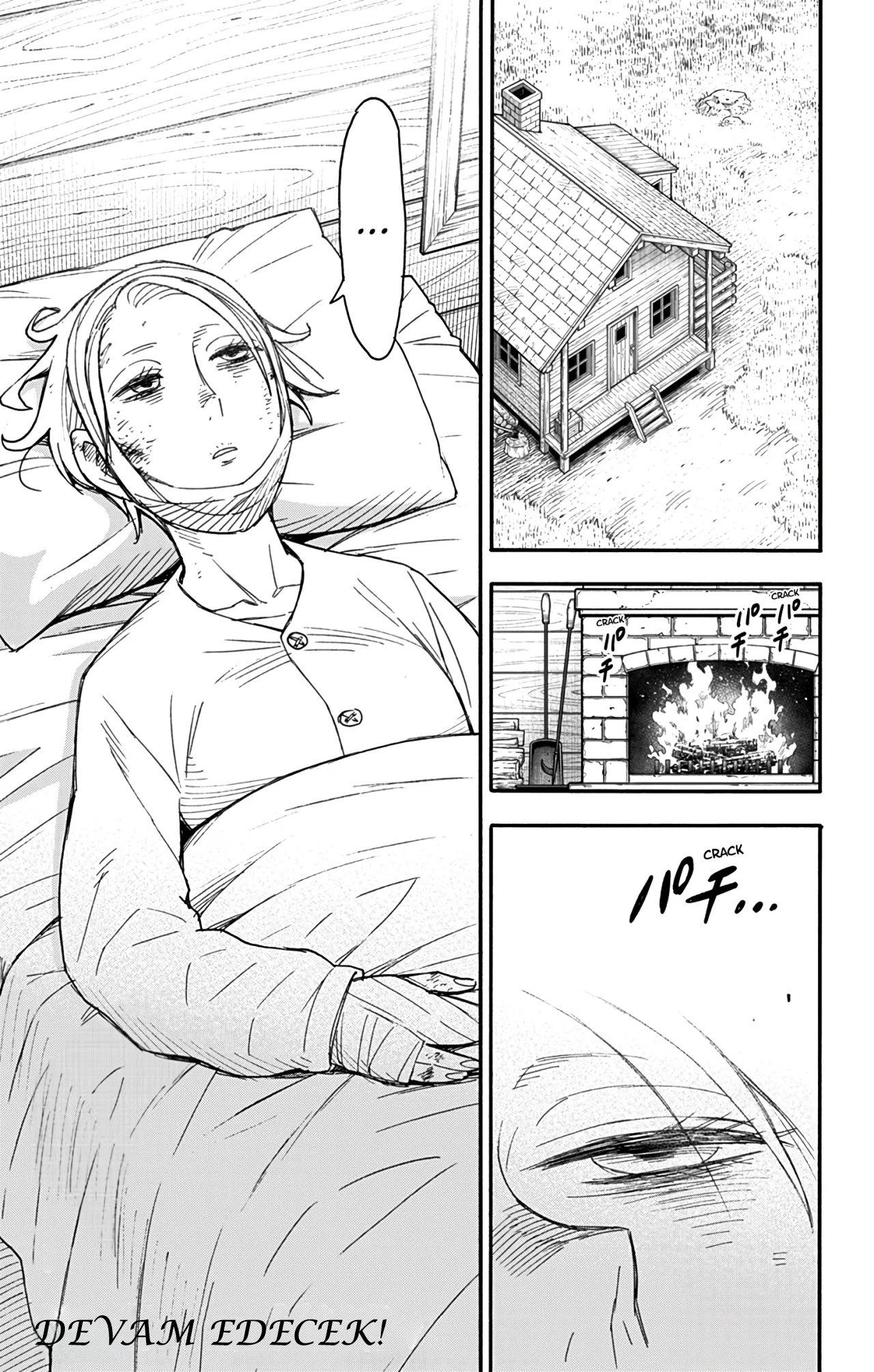 Read SPY X FAMILY TR Manga Online