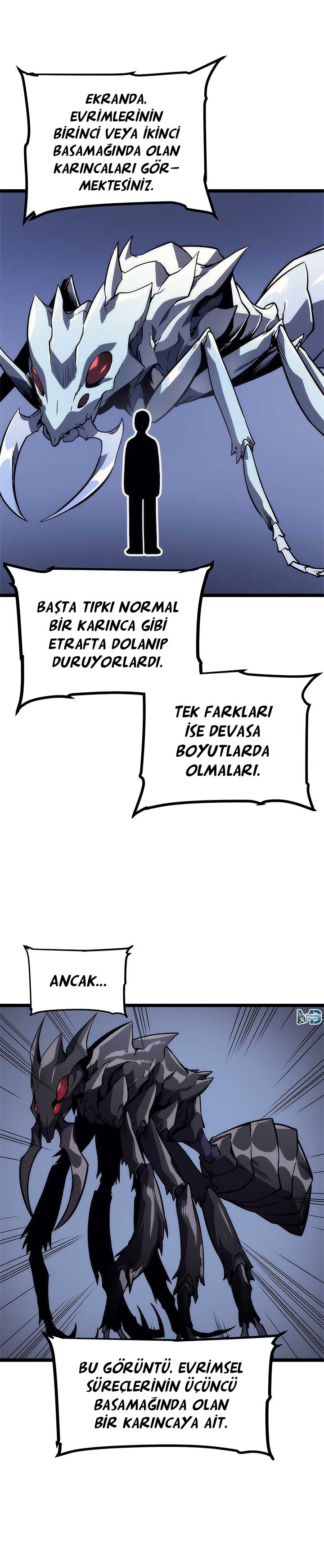 Read Solo Leveling TR Manga Online