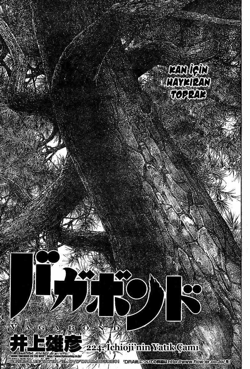 Read Vagabond TR Manga Online