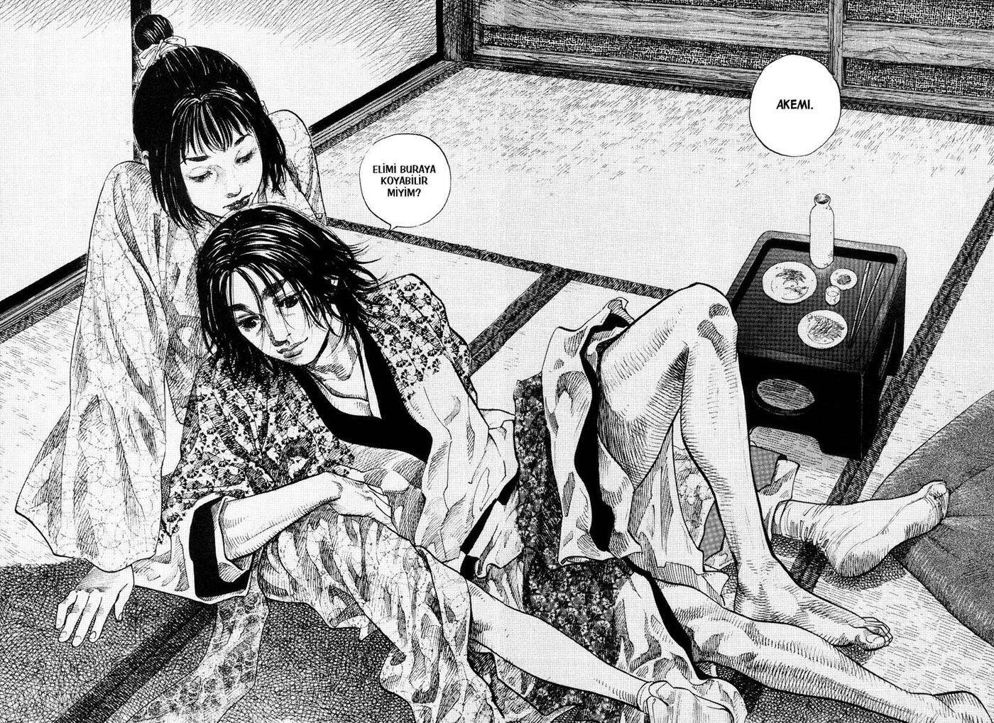 Read Vagabond TR Manga Online
