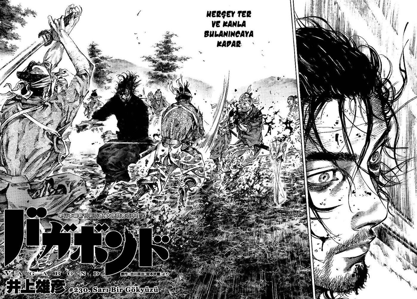 Read Vagabond TR Manga Online
