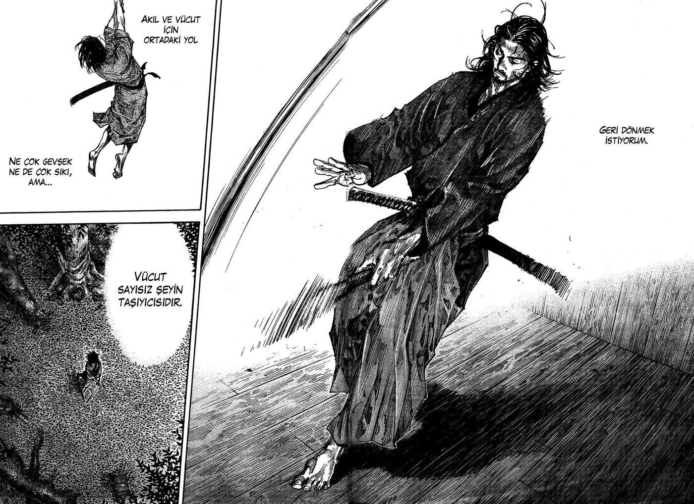 Read Vagabond TR Manga Online