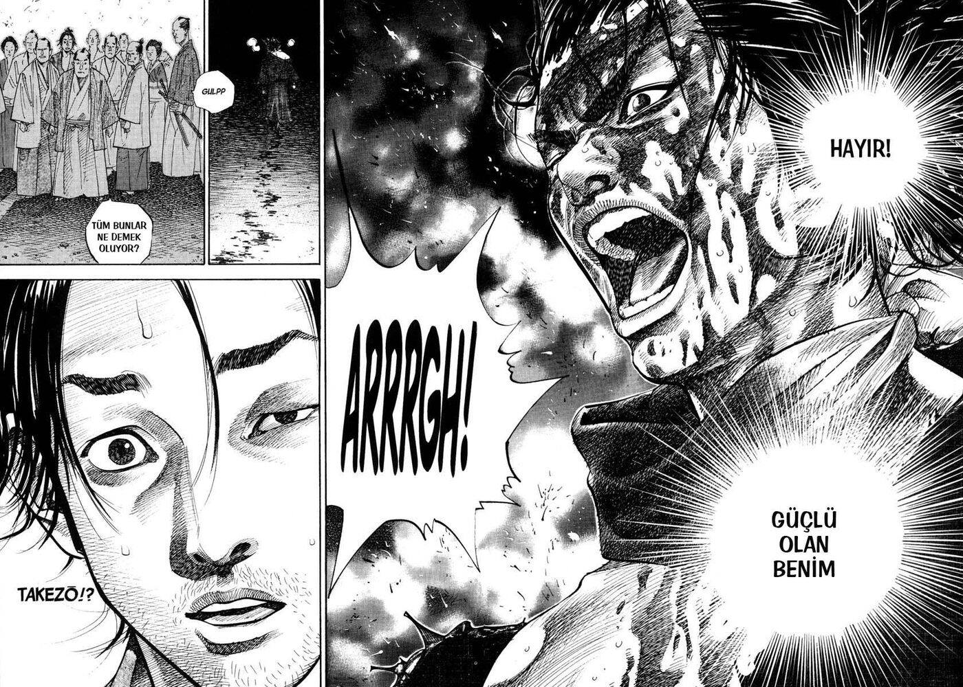 Read Vagabond TR Manga Online