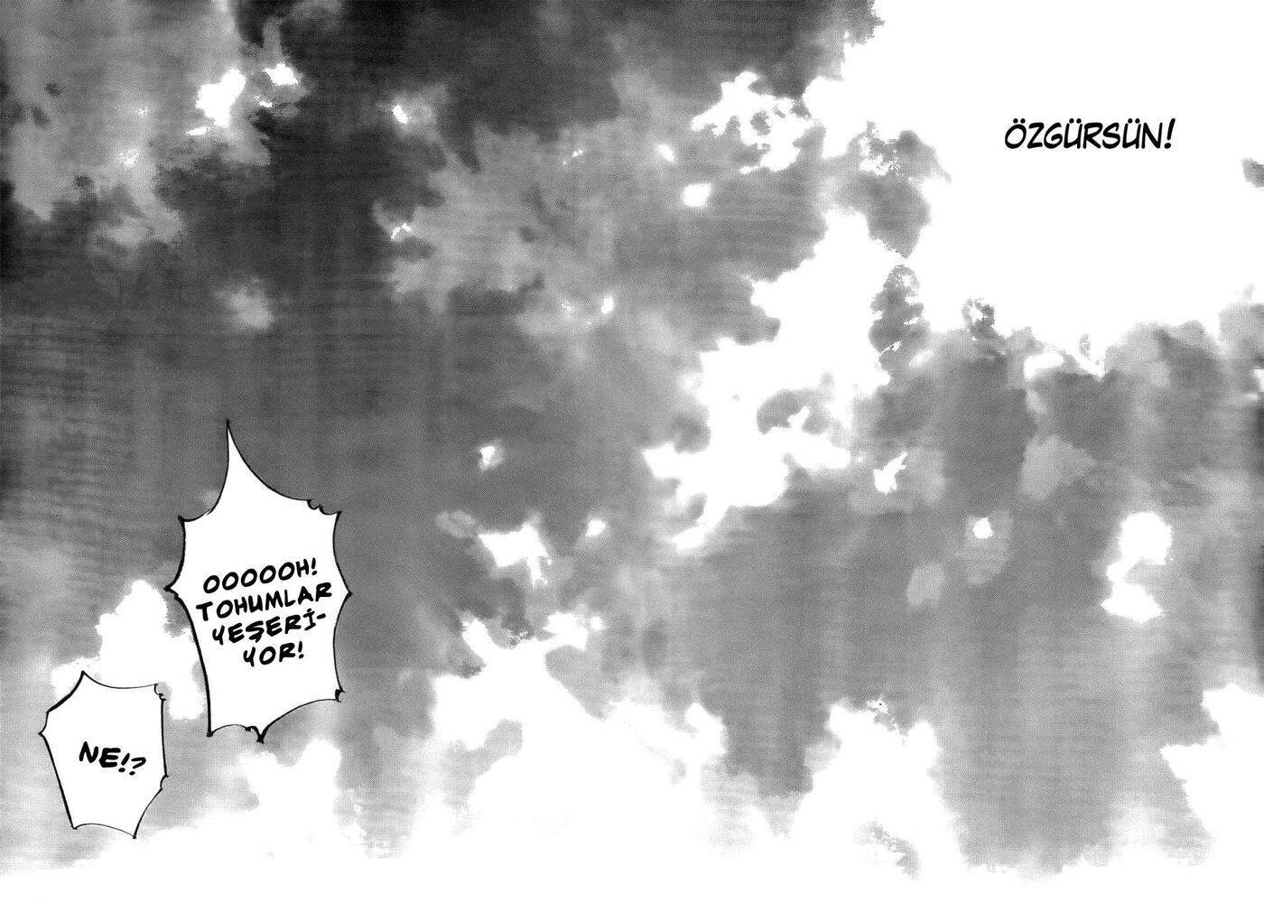 Read Vagabond TR Manga Online