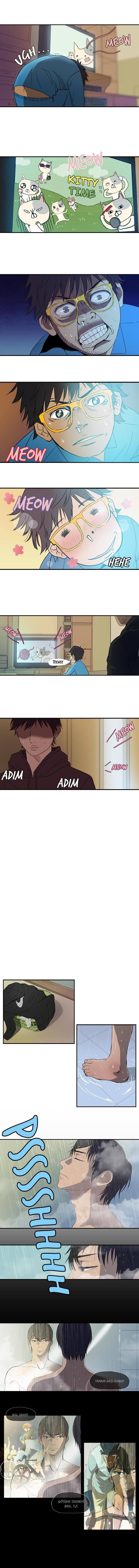 Read Wind Breaker Türkçe Manga - Sokak Yarışı Oku Manga Online